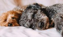 从日常睡姿测你目前的生活状态！