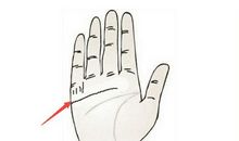 财运线图解女中什么样的女人财气最盛,一起来分析一波