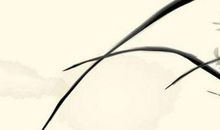 生肖属马妈妈和生肖属狗爸爸不适合生什么属相的宝宝