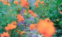 明天起，喜事、贵人滚滚来，大运迎进门，3生肖头顶聚宝盆，睡着都笑醒