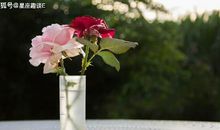 在6月份，喜上眉梢，称心如意，收获美好的三大星座