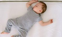 生肖狗宝宝取名大全