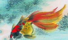 生肖属羊妈妈和生肖属猪爸爸跟什么生肖属相的孩子不合