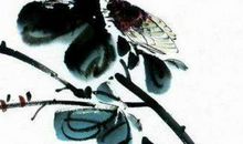 生肖属羊妈妈和生肖属狗爸爸跟什么生肖属相的孩子不合