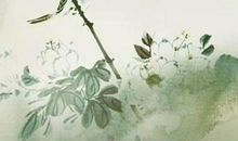 生肖属羊妈妈和生肖属猴爸爸跟什么生肖属相的孩子不合