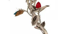 2020庚子鼠年2月29号出生的人性格命运解析，五行八字查询