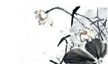 生肖属羊妈妈和生肖属羊爸爸跟什么生肖属相的孩子不合