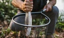 女人梦见在水里抓到鱼是什么意思