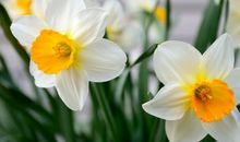 未来2年这几大生肖财运超旺，摆脱人生困境，进入幸福之路