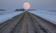 ColinAstrology星象运势 2020年星象运势 2月 狮子满月 保持信心