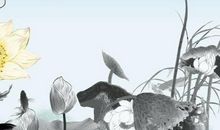 甲午日柱见2020庚子流年运势，与太岁天克地冲是什么意思