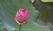 3月下旬财神贵人齐助力，财富进入快车道，好运畅通无阻的3生肖！