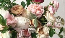 2020年11月和12月生肖属虎人哪天订婚好,有18天黄道吉日