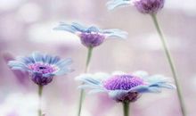 舍不得让孩子受苦的三个生肖女，有时有点溺爱，但却是个好妈妈