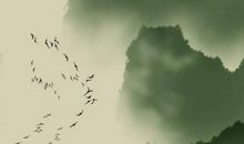 农历2019年十二月十五可以剪头发吗，宜理发？