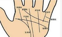 财运线到底在哪?财运线在无名指下方