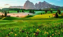 2020年春节双鱼座的财运好不好，怎么样提升财运