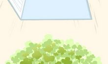 农村住宅风水禁忌 有什么影响