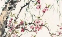 2020年7月25号出生的男孩怎么起名字，五行属什么