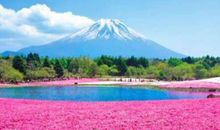 2020年元旦节双鱼座的桃花势好吗，能脱单成功吗