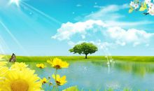 2019年圣诞节水瓶座的桃花势好吗，怎么提升桃花运