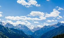 上升星座巨蟹座的人，领悟力好、适应能力佳、有责任感