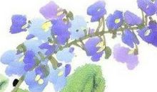 生肖属猴妈妈和生肖属鸡爸爸跟什么生肖属相的孩子不合