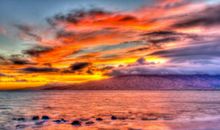 2020年春节水瓶座的桃花势好吗，怎么提升桃花运