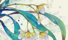 2020年3月18日二月二十五生的男孩命运好吗，取什么名字福气好