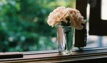 35岁开始前途光明，生活富足无忧的生肖