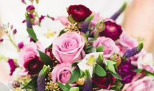 2020年4月生肖属狗和生肖属狗结婚吉日一览表