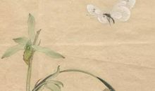 2020年10月19号出生的男孩五行属什么，起什么名字霸气独特