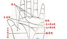 男人拥有什么样的财运线是最好的呢?