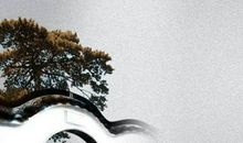 生肖属兔妈妈和生肖属猴爸爸跟什么生肖属相的孩子不合