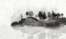 生肖属兔妈妈和生肖属龙爸爸跟什么生肖属相的孩子不合