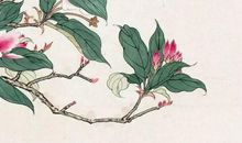 2020年4月24日四月初二生的女孩是什么命，怎么八字取名字