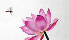 2020年生肖属牛的婚姻感情运势揭晓，六合地支相合，老天都拆不散