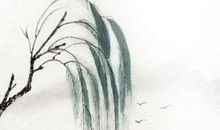 生肖属兔妈妈和生肖属羊爸爸跟什么生肖属相的孩子不合