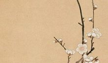 2020年4月23日四月初一生的女孩是什么命，取什么名字寓意好