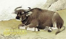 属牛和属蛇的姻缘婚配