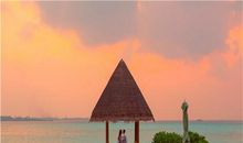 奋不顾身，恋爱里总爱倒贴的生肖女