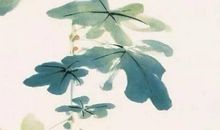 2020庚子年农历八月初十出生的女孩取什么名字文雅，五行属什么