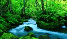 2020年春节射手座的贵人运好不好，怎么提升贵人运