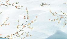 1972年子时出生的生肖属鼠人命好吗，一生须防情事相伤，为情多苦