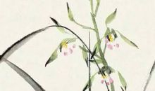 2020年5月22号四月三十日生的男孩命运好吗，取什么名字寓意佳