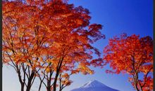 2020年元旦节射手座的桃花势好吗，能脱单成功吗