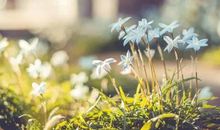 与白羊座般配的三大星座：两个人散发的甜蜜气息，非常虐狗