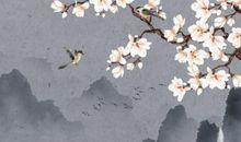 1948年子时出生的生肖属鼠人命好吗，霹雳火命，有勇无谋错误频出