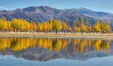 2020年天蝎座整年运势不错，贵人运挡都挡不住