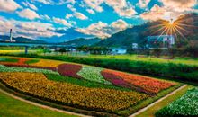 2019年圣诞节天蝎座的桃花势好吗，和什么星座适合恋爱